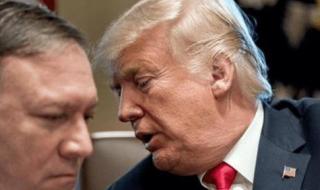 信口雌黄蚂蚁庄园